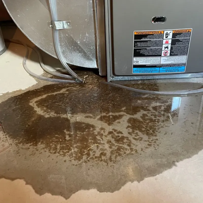 Pipe Burst and Leak Restoration in North Sioux City, SD
